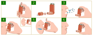 Metered Dose Inhaler